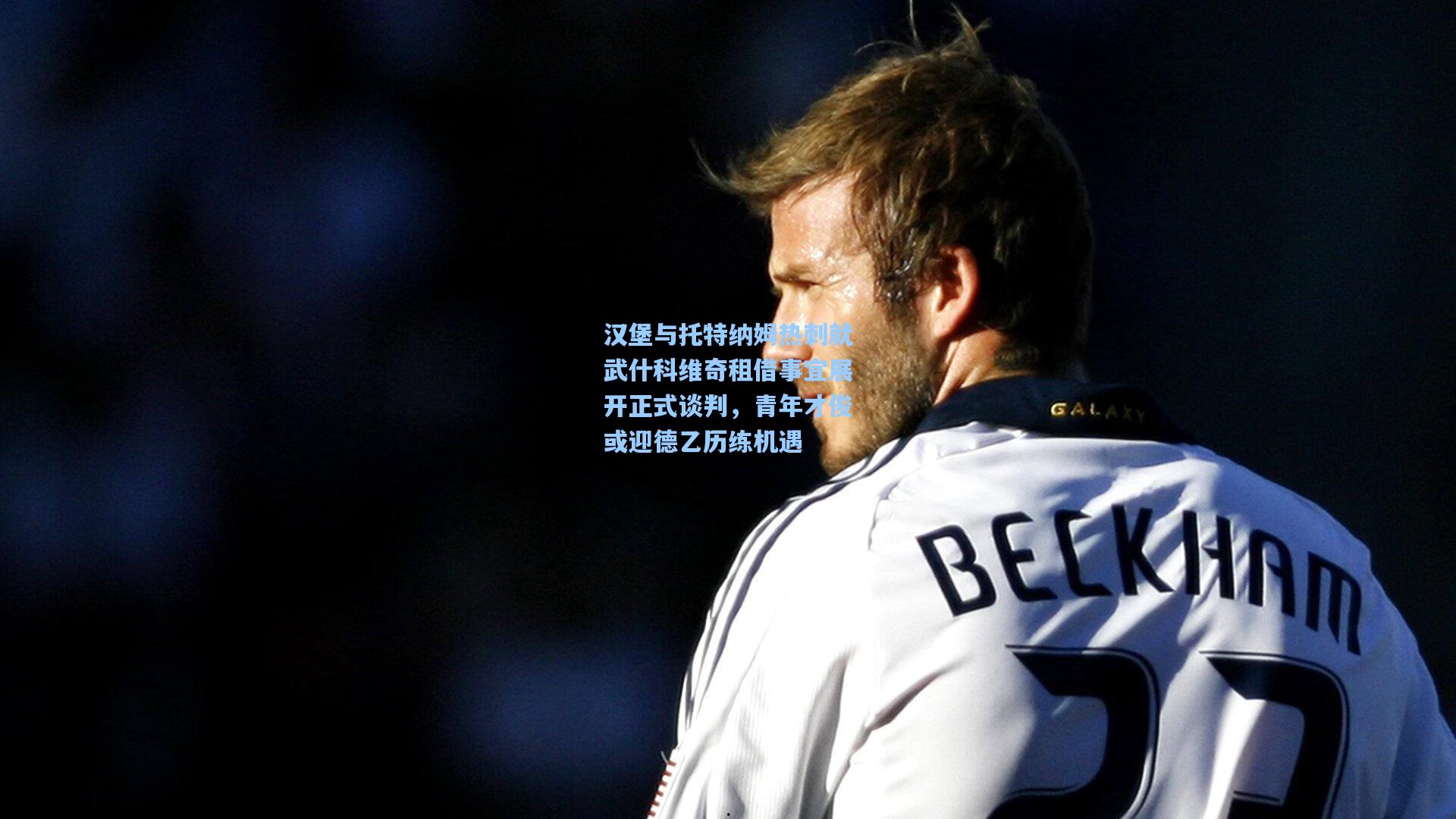 汉堡与托特纳姆热刺就武什科维奇租借事宜展开正式谈判,青年才俊或迎德乙历练机遇