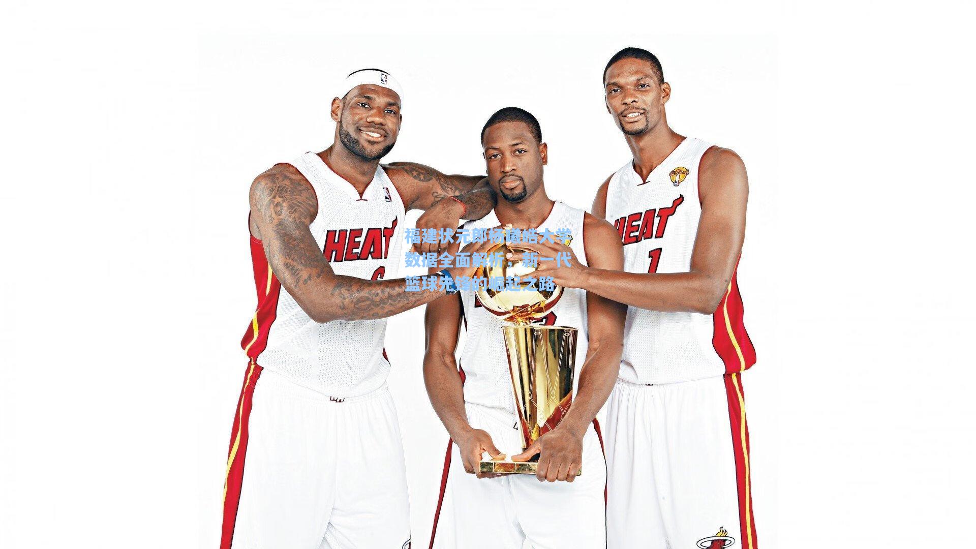 福建状元郎杨曦皓大学数据全面解析，新一代篮球先锋的崛起之路