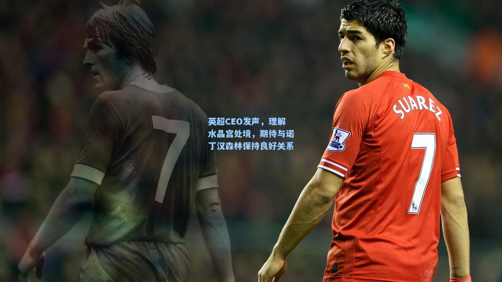 英超CEO发声,理解水晶宫处境,期待与诺丁汉森林保持良好关系