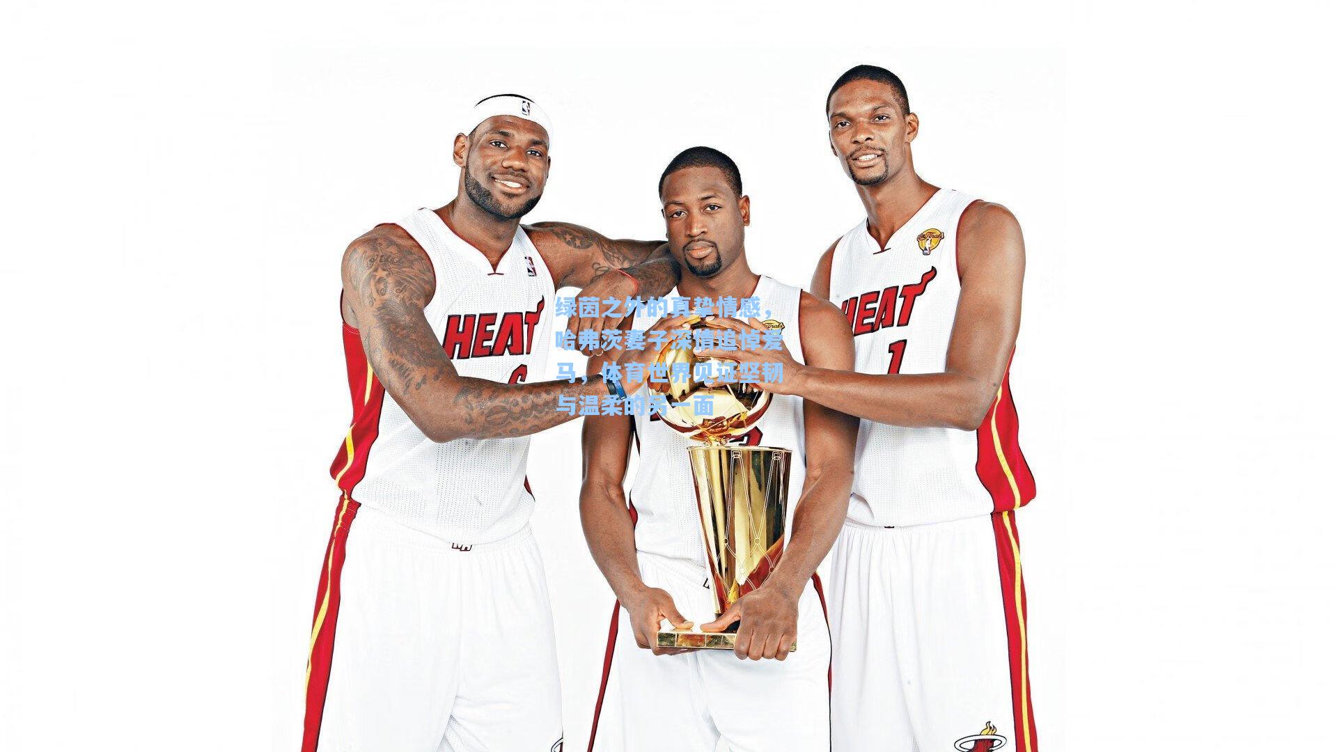 绿茵之外的真挚情感,哈弗茨妻子深情追悼爱马,体育世界见证坚韧与温柔的另一面